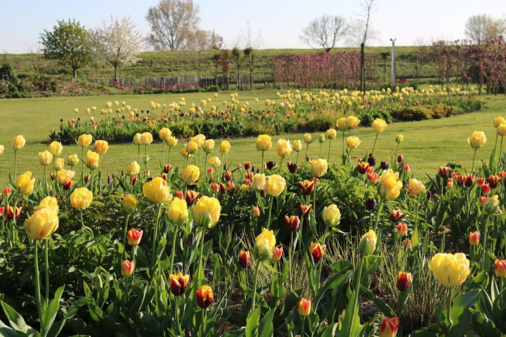 De Tuinen in Demen Bezoekmijntuin