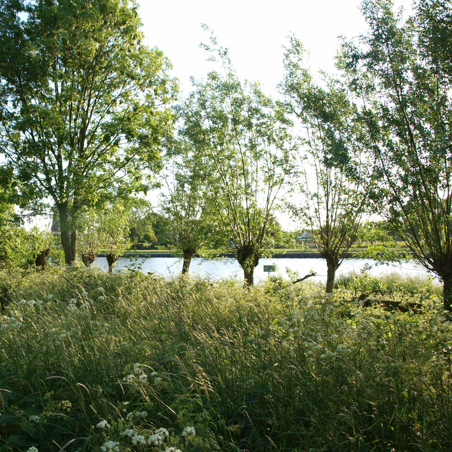 2 Open tuin 2018 Bezoekmijntuin